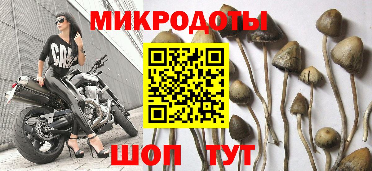 Галлюциногенные грибы MAGIC MUSHROOMS  Вход с VPN  Усть-Джегута 